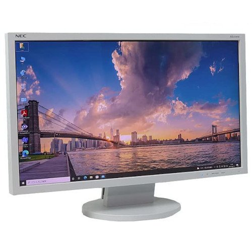 NEC AS223WM 21.5 Monitor